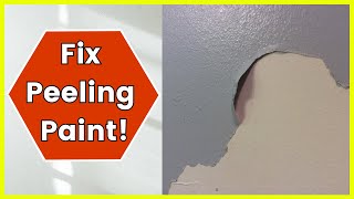 How To Fix Peeling Paint On Walls [upl. by Myna]