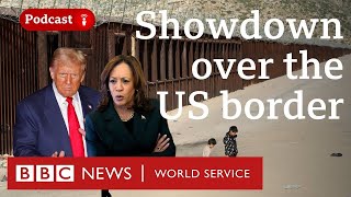 How immigration will define the US election  The Global Story podcast BBC World Service [upl. by Sumetra]