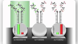 Illumina Infinium Assay An Overview [upl. by Ecurb]