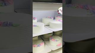 6 മണിക്കൂറിൽ 12 Cakes cakes baking cakerecipe reels shorts bulkorder business [upl. by Kciredec]