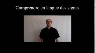 Comprendre en langue des signes française [upl. by Meela]