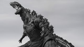 GODZILLA SHMonsterArts Orthochromatic Ver [upl. by Neirol]