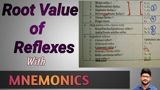 Dr Tricks  Root Value of superficial Reflexes And Deep Tendon Reflexes With MNEMONICS 🔥 [upl. by Jasmine]