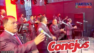 Internacionales Conejos  Mix Merengue 2022 [upl. by Asilat265]