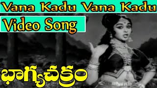 Bhagya Chakram Movie Songs  Vana kadu vana kadu  NTR  B Saroja Devi  Suryas Tv [upl. by Charis]