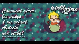 Comment gérer les crises dun enfant autiste non verbal [upl. by Gaspard106]