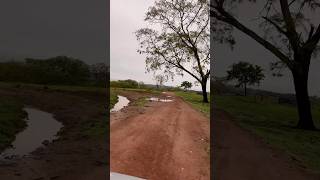 Estradinha de Terra youtube estrada goais vidanocampo shorts short [upl. by Ahseit138]