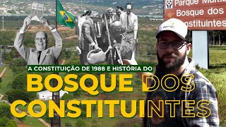 Qual a relação das árvores do Cerrado e a Constituição do Brasil [upl. by Aronaele372]