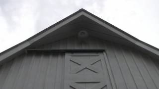 White Gambrel Barn Post and Beam [upl. by Savart244]