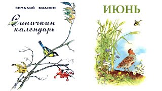 Виталий Бианки Синичкин календарь quotИюньquot аудио книга [upl. by Godrich]