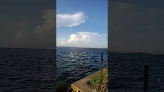 Caloosahatchee River Ft Myers FL [upl. by Bekki]