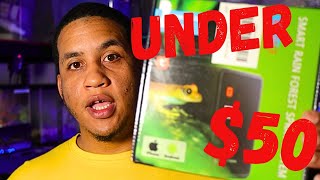 Best Reptile Mister For Less Than 50 Unboxing [upl. by Hcirdeirf196]