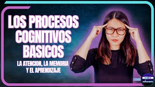 LOS PROCESOS COGNITIVOS BÁSICOS la atención la memoria y el aprendizaje [upl. by Annette]