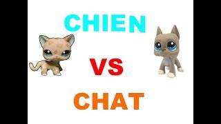 Chats VS Chien ep 1 [upl. by Kacey]