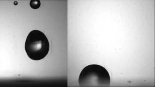 Drop Impact on superhydrophobic surfaces comparison with hydrophobic surface [upl. by Killion789]