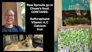 Broccoli Sprouts amp Sulforaphane Degenerative Myelopathy [upl. by Lamberto744]