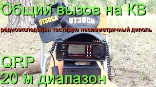 Тест антенна несимметричный диполь 8010м в условиях поля QRP 56 ВаттНа общий вызов [upl. by Nnylecoj]