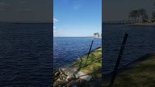 Caloosahatchee River Ft Myers FL floridacity ftmyers nature [upl. by Milman286]