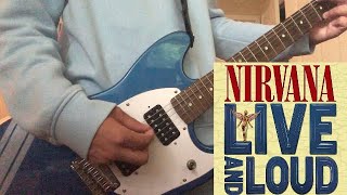 Nirvana Pennyroyal Tea Live and Loud Cover [upl. by Jeannette]