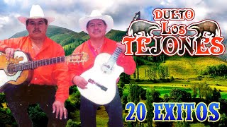 Dueto Los Tejones  20 Exitos Rancheros Album Completo [upl. by Ahsinak440]