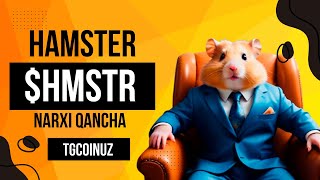 HAMSTER KOMBAT NARXI CHIQDI  HMSTR NARXI QANCHA [upl. by Windzer816]