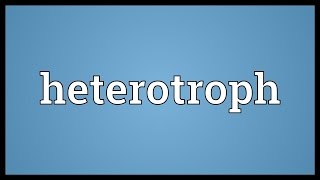 Heterotroph Meaning [upl. by Youlton811]