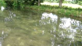 River Test Fly Fishing 3 [upl. by Hakilam]