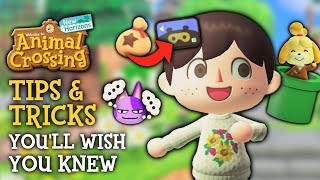 Tips amp Tricks I WISH I Knew Sooner in Animal Crossing New Horizons [upl. by Epotimet130]