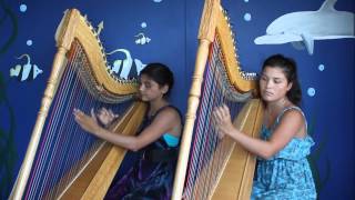 Luz Marina Harp Duo  Pájaro Campana [upl. by Ahsiken]