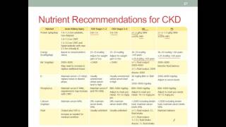 MNT CKD Part 3 Nutrition Therapy [upl. by Buchanan]