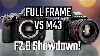 Full Frame vs Micro Four Thirds Comparison At F28 [upl. by Bettzel]