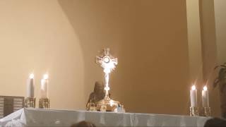 Medjugorje  Live Eucharistic Adoration [upl. by Capon967]