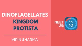 Dinoflagellates  Kingdom Protista  NEET Biology  NEET UG in 10 [upl. by Seleta]