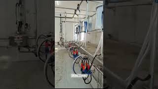 KURTSAN 2x6 ELEKTRONİK BEYİNLİ SAĞIMHANE  ADANA ULAŞ TARIM kurtsan sagimhane quality farming [upl. by Philcox425]