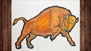 HOW TO DRAW A BISON  EUROPEAN BISON  OIL PASTEL DRAWING [upl. by Andee]