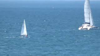 Catamaran VS Optimist Laser or Lightning Race which is faster [upl. by Nowahs]