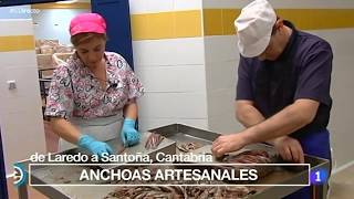 Conservas El Capricho Elaboración de Anchoas en España Directo [upl. by Garrison765]