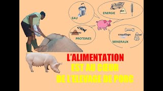 comment composé laliment pour vos porc comment fabriquer laliment des porcs [upl. by Dahsar]