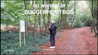 Herfstwandeling in Buggenhoutbos [upl. by Gnuhn]