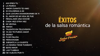 Éxitos De La Salsa Romántica  Salsa Power [upl. by Barbe]