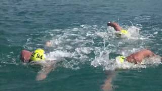 2017 Bosphorus CrossContinental Swim [upl. by Solracesoj]