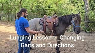 Lunging Lesson  How to start lunging a horse changing gaits and direction on the lunge line [upl. by Kazmirci]