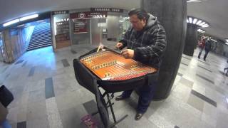 Street musician In Budapest [upl. by Aleyak]