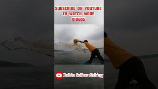 Traditional sardine fishing viralvideo shorts ytshorts [upl. by Sabra]