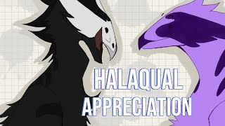 Halaqual Appreciation W Rxv3nxCatzz [upl. by Russom]