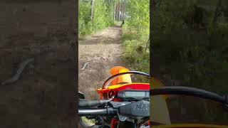 These trails are SICK Follow link to watch the full video 👆 enduro motocross dirtbike [upl. by Leschen]