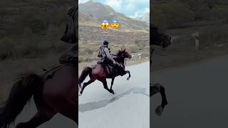 Horse reval uzbekistan😱top speed 😨horse uzbekistan speed adventure trendingshorts trending [upl. by Tanitansy]