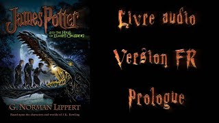 Livre audio vivant 🎧James Potter 1 FR 🎧 Prologue [upl. by Suiddaht]