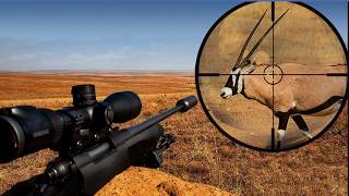 Epic Gemsbok KILL SHOTS Compilation [upl. by Tab]