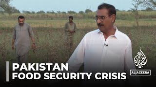 Pakistan agriculture GOVT imports food as drought chokes farmland [upl. by Deeanne141]